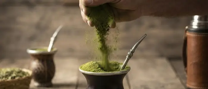 Sypiąca się z ręki zielona, sproszkowana yerba mate chimarrão