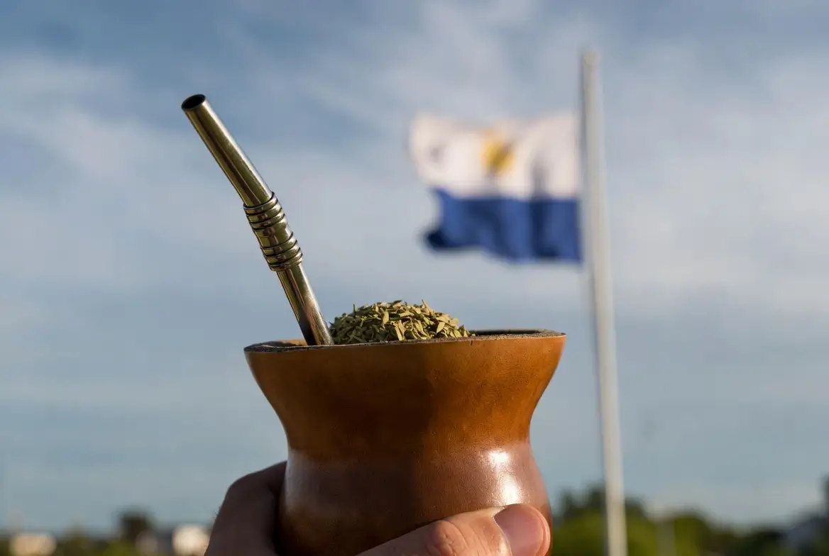 Urugwajska yerba mate z bombillą, tło flaga Urugwaju